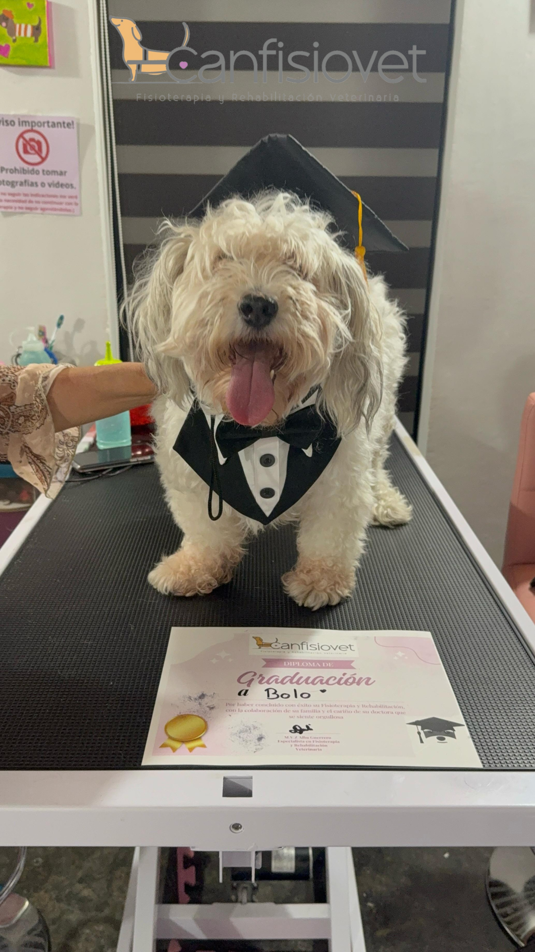 Paciente en rehabilitación