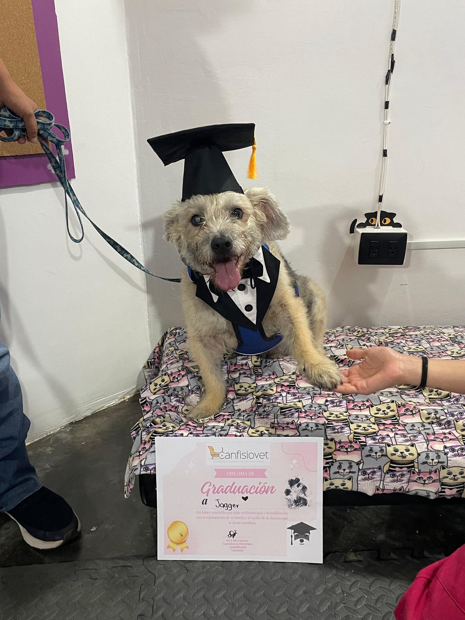 Equipo de rehabilitación