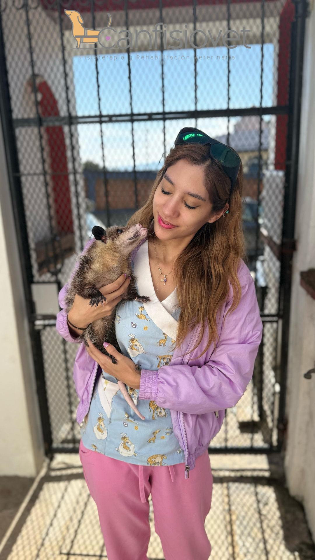 Equipo de rehabilitación