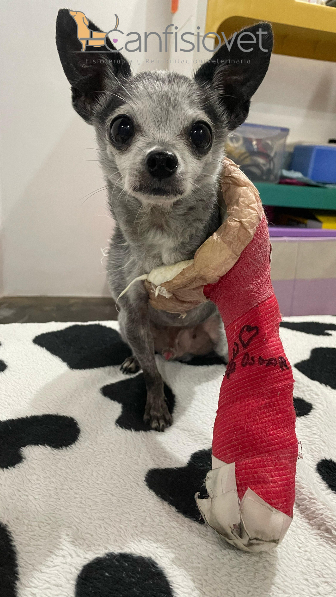 Rehabilitación Ortopédica y Neurológica