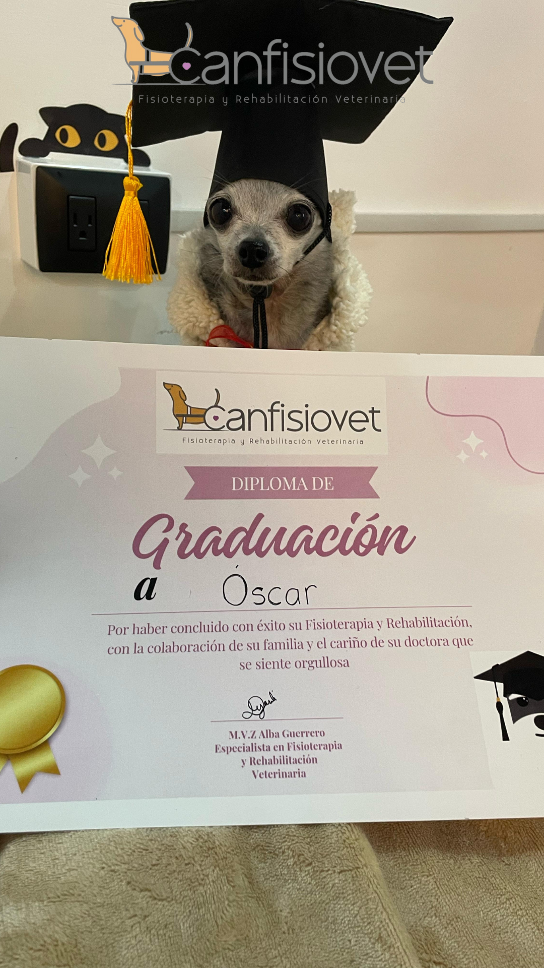 Equipo de rehabilitación