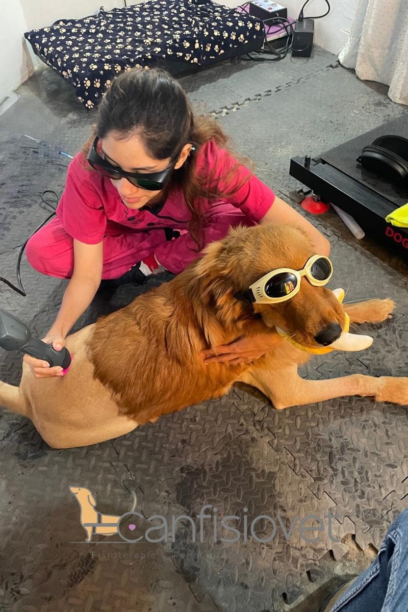 Rehabilitación Postquirúrgica