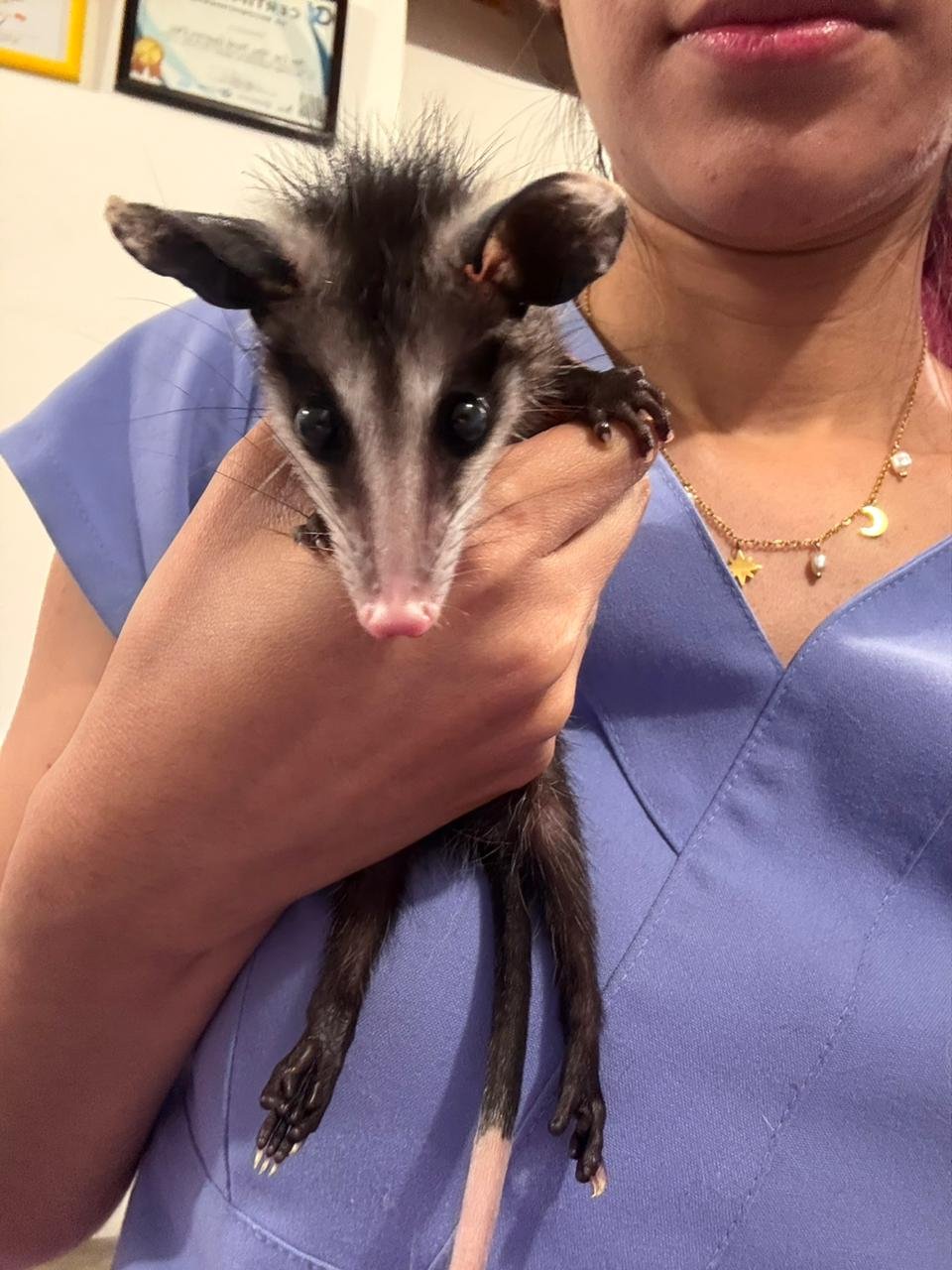 Equipo de rehabilitación