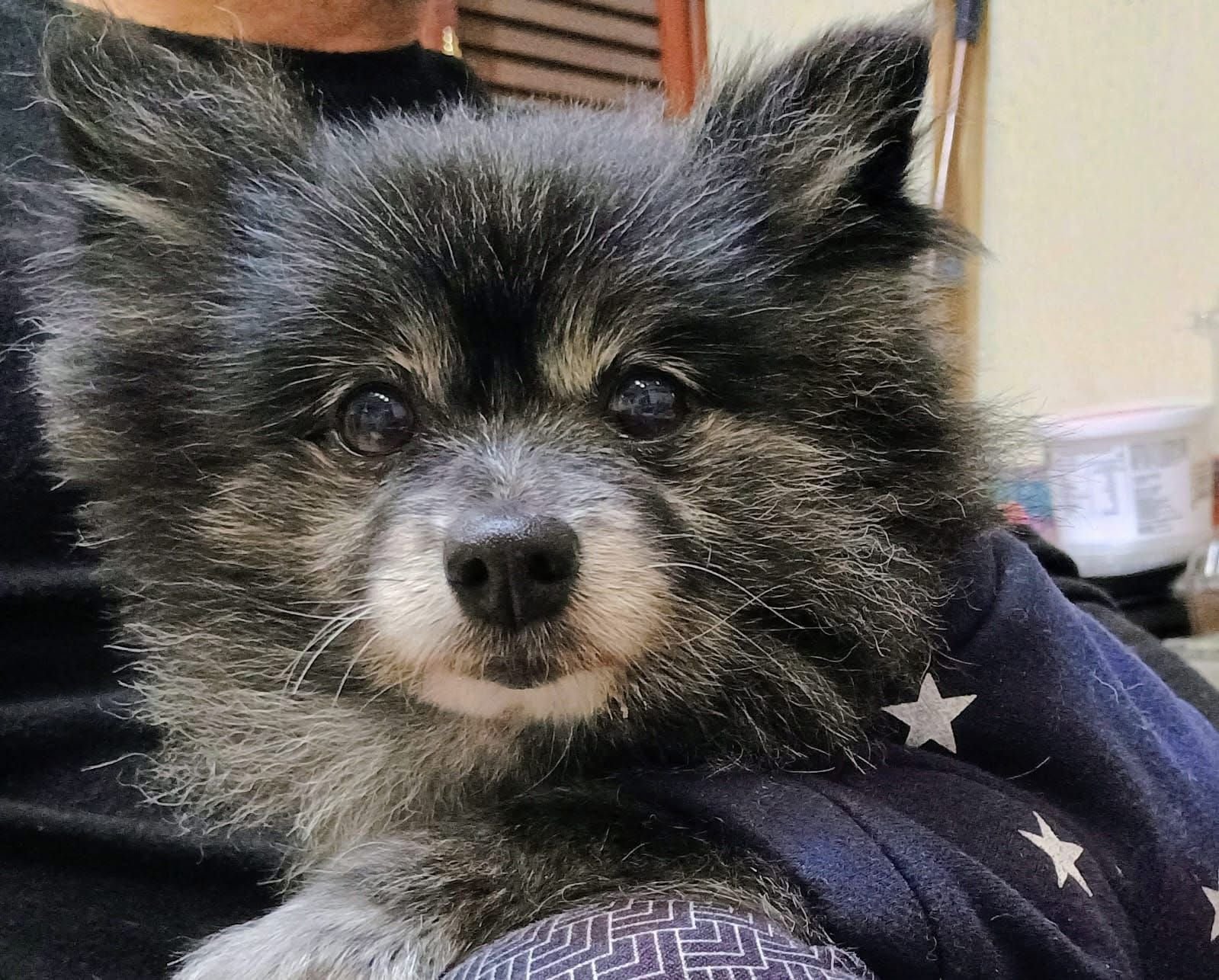 Equipo de rehabilitación