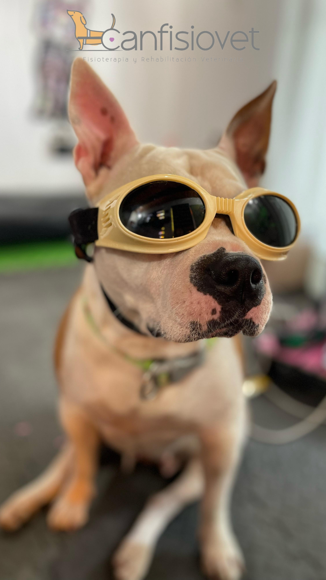 Yossi - Caso de éxito