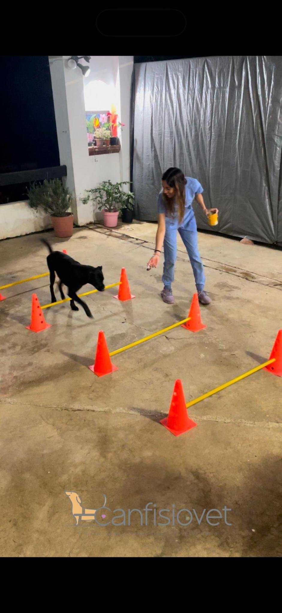 Ejercicios Terapéuticos