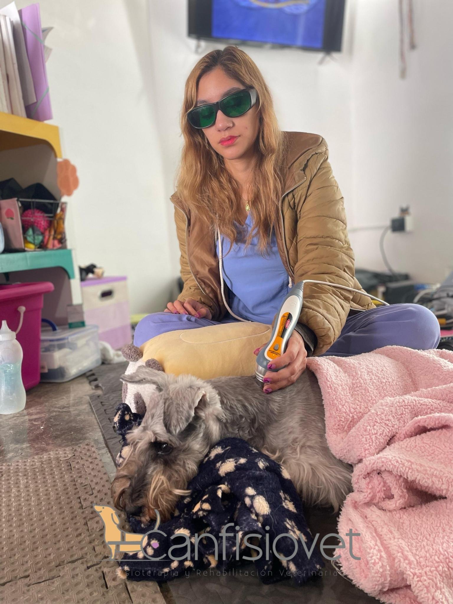 Laserterapia Veterinaria